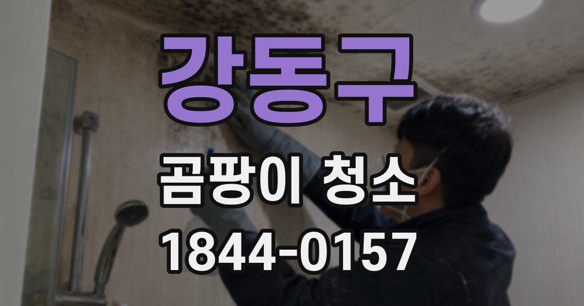 강동구 곰팡이 청소