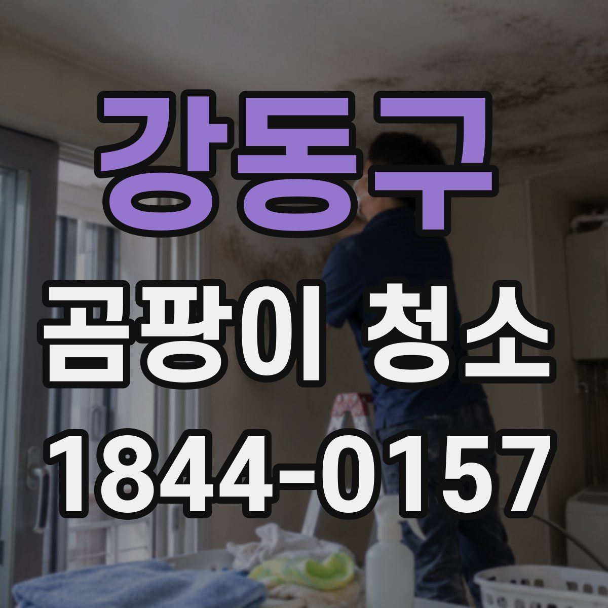 강동구 곰팡이 청소