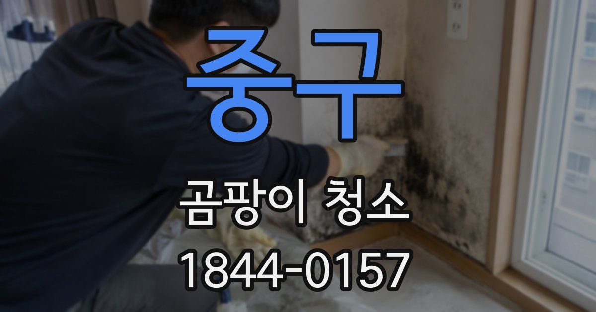 중구 곰팡이 청소