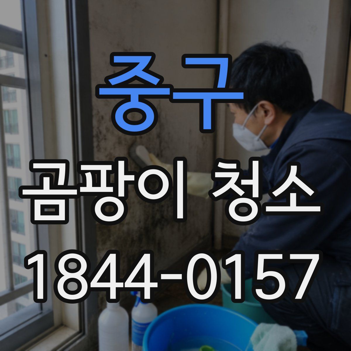 중구 곰팡이 청소