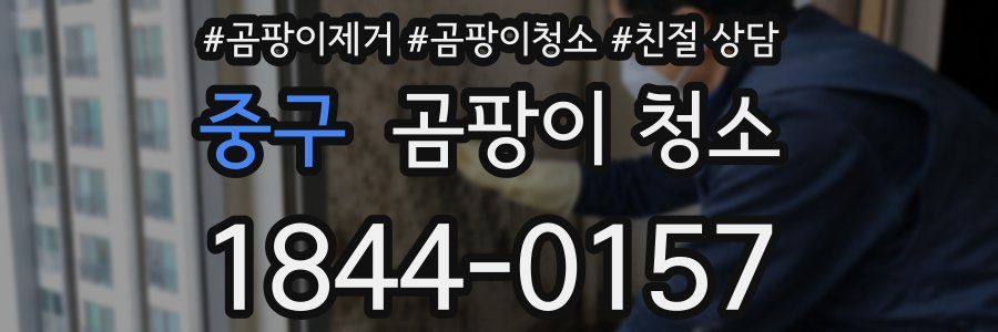 중구 곰팡이 청소