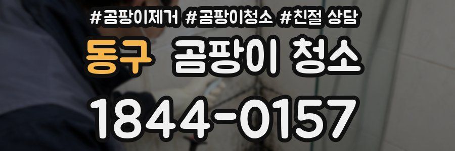 동구 곰팡이 청소