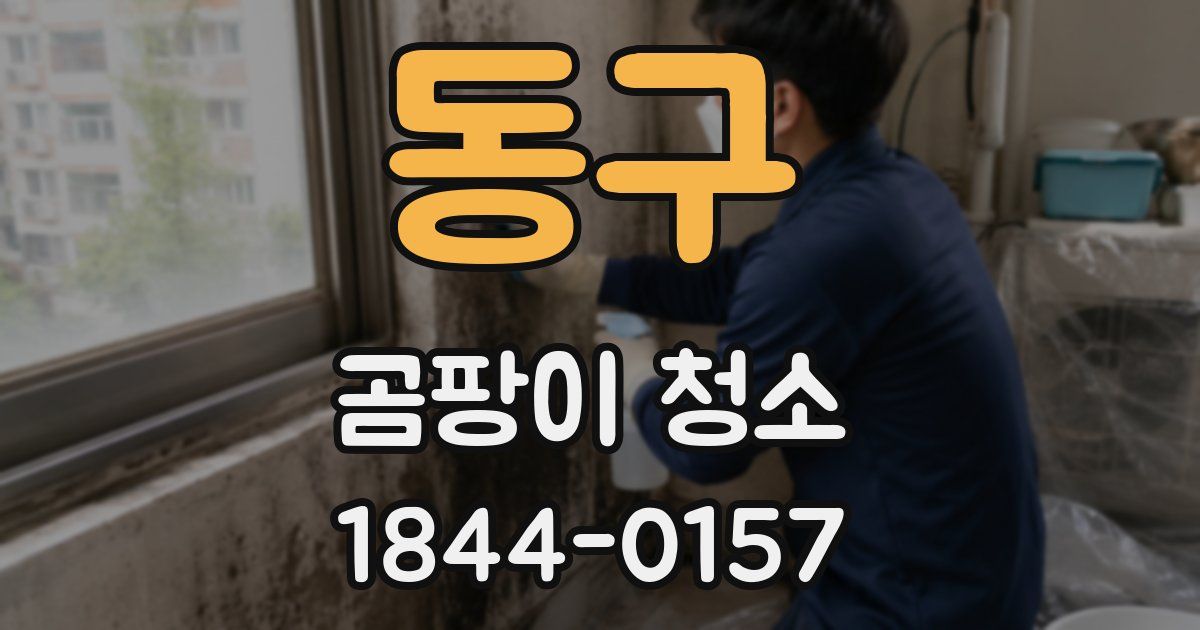 동구 곰팡이 청소