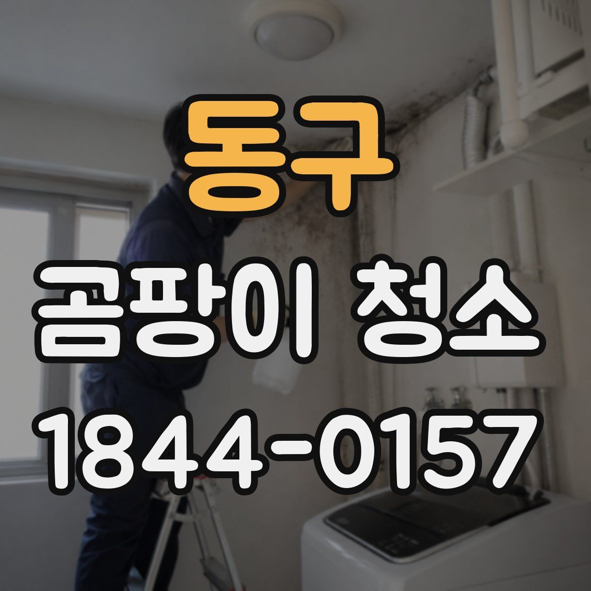 동구 곰팡이 청소