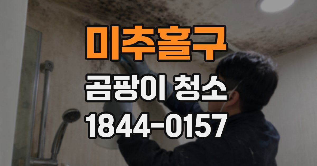 미추홀구 곰팡이 청소