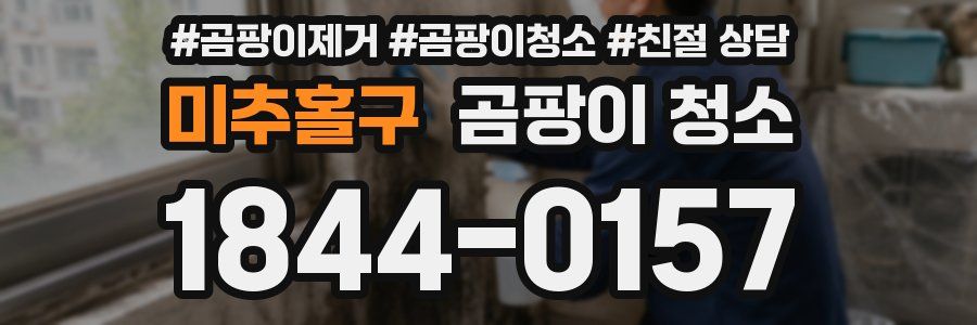 미추홀구 곰팡이 청소