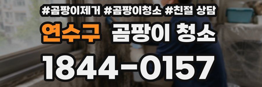 연수구 곰팡이 청소