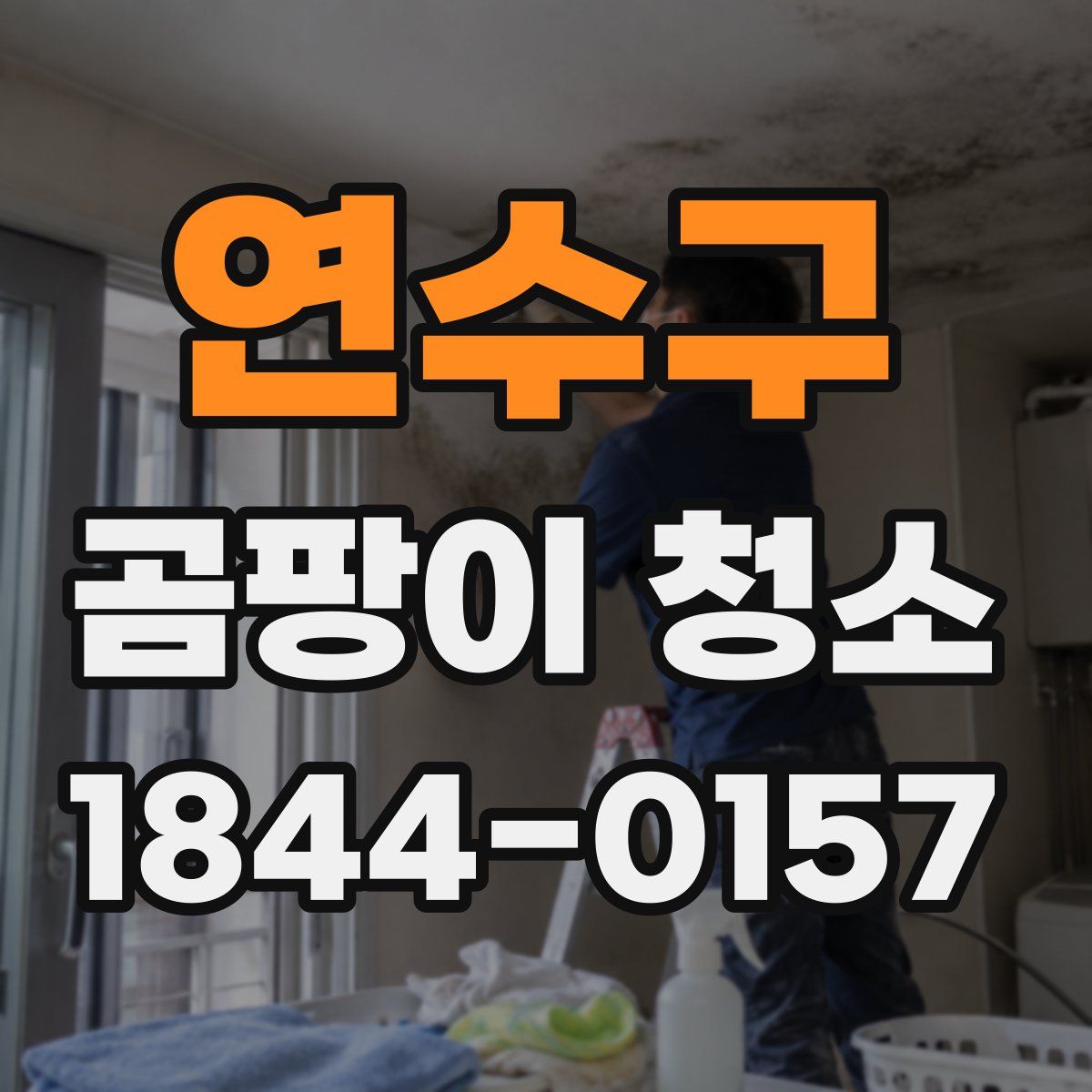 연수구 곰팡이 청소