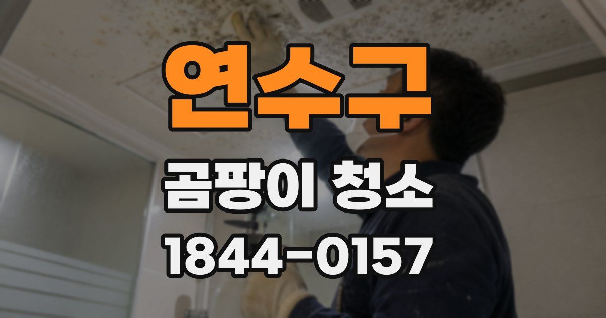 연수구 곰팡이 청소