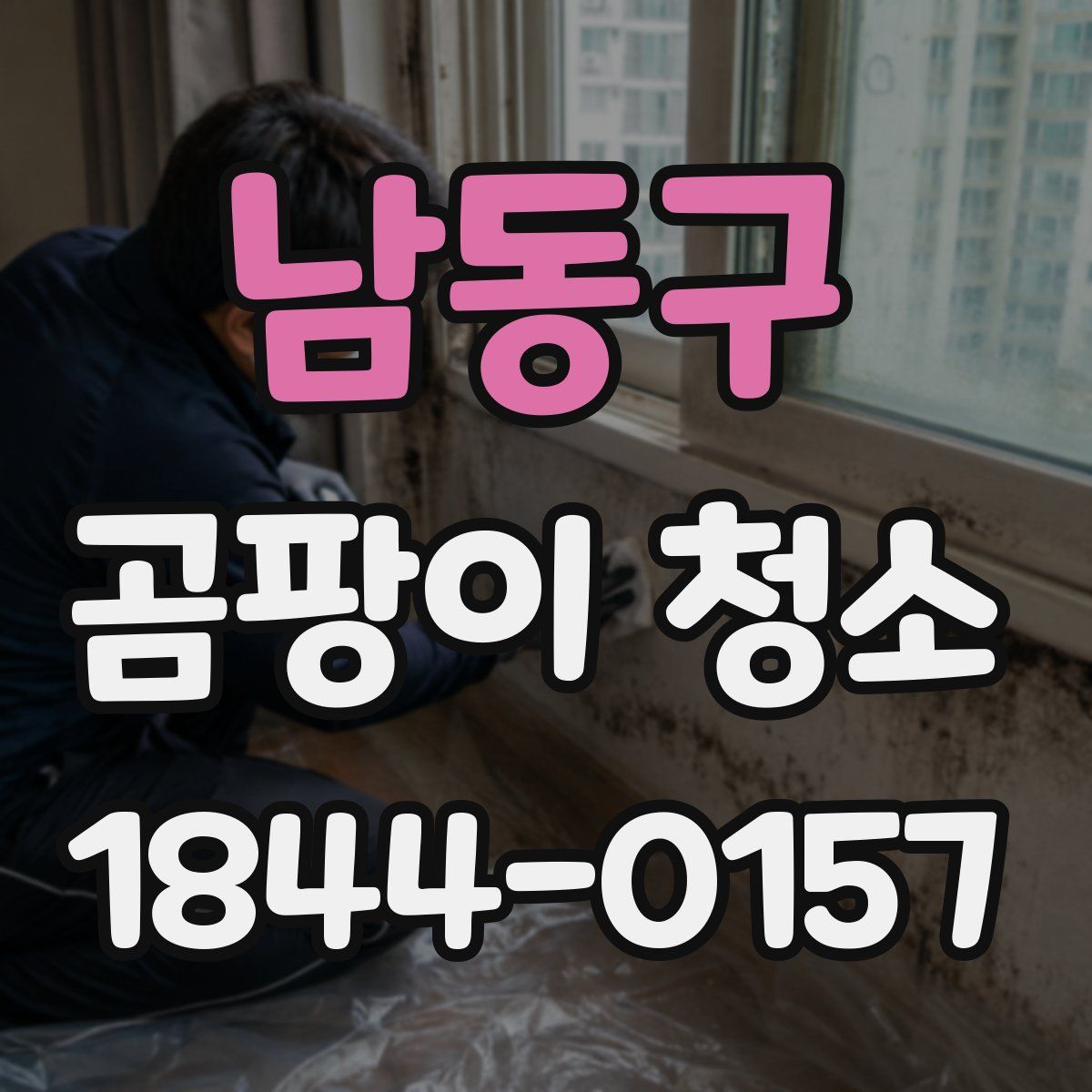 남동구 곰팡이 청소