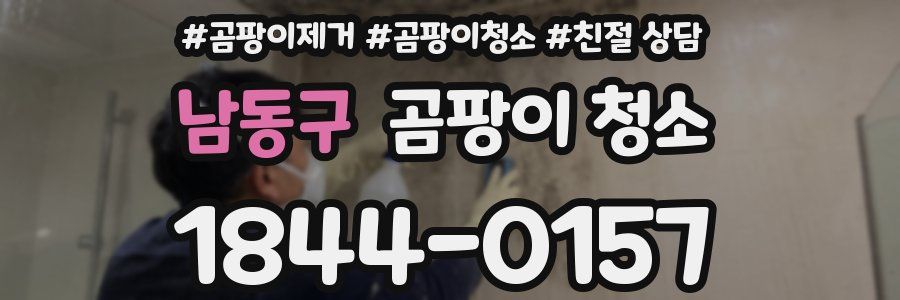 남동구 곰팡이 청소