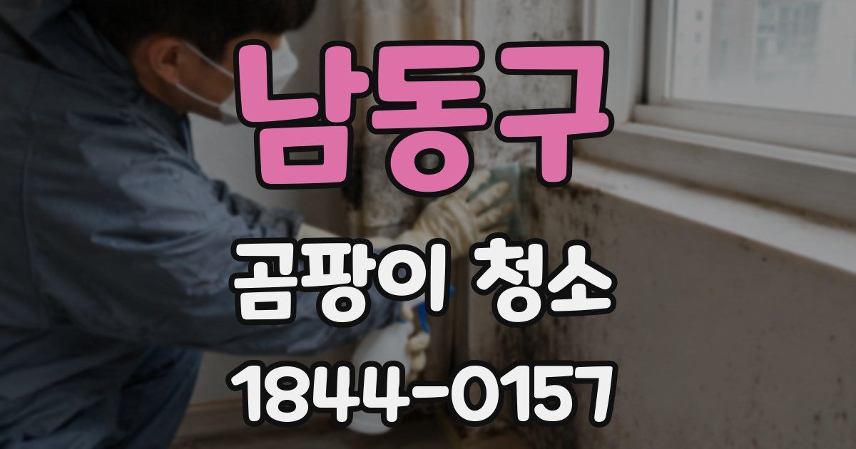 남동구 곰팡이 청소
