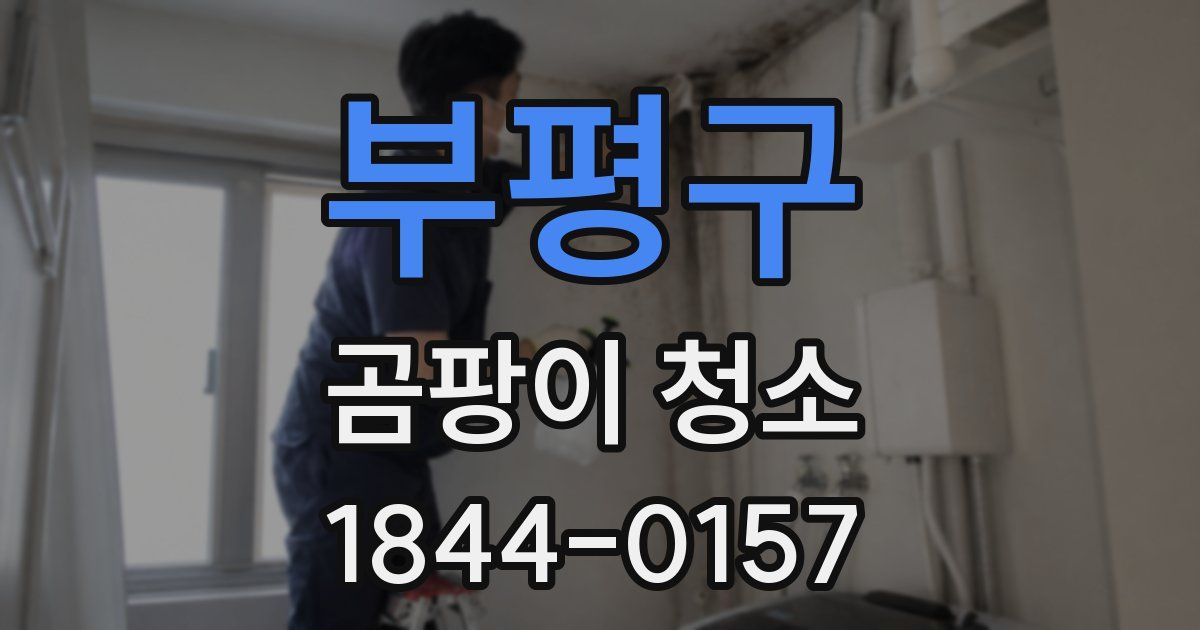 부평구 곰팡이 청소