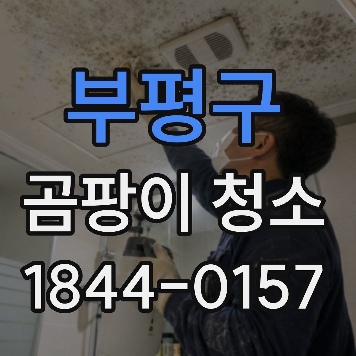 부평구 곰팡이 청소