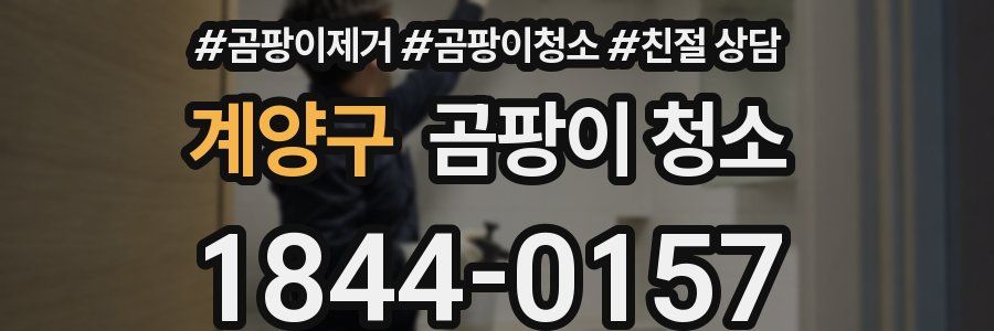 계양구 곰팡이 청소