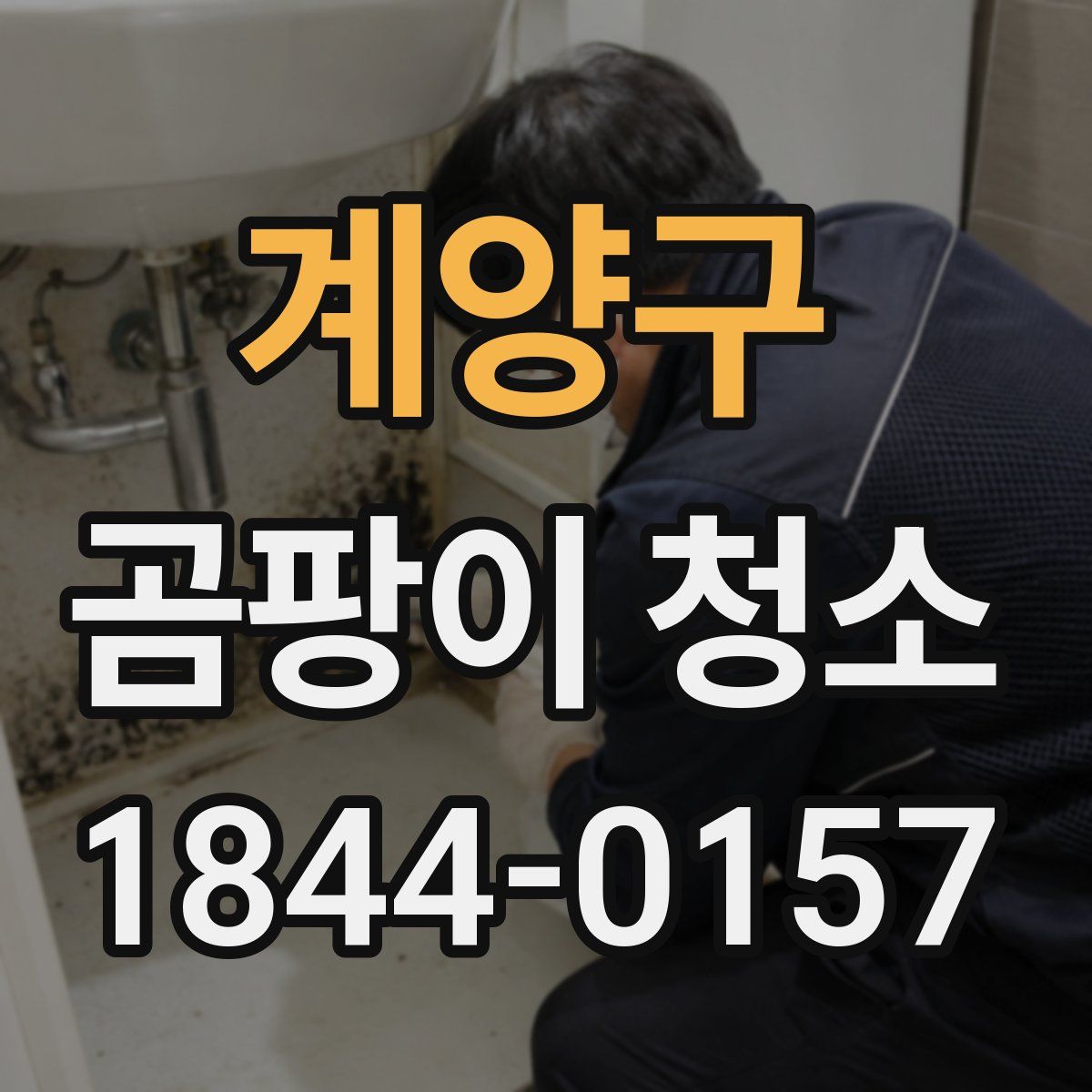 계양구 곰팡이 청소