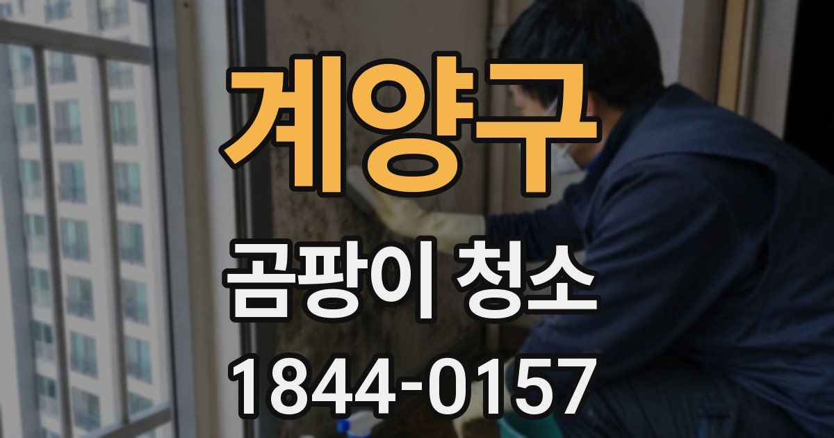 계양구 곰팡이 청소