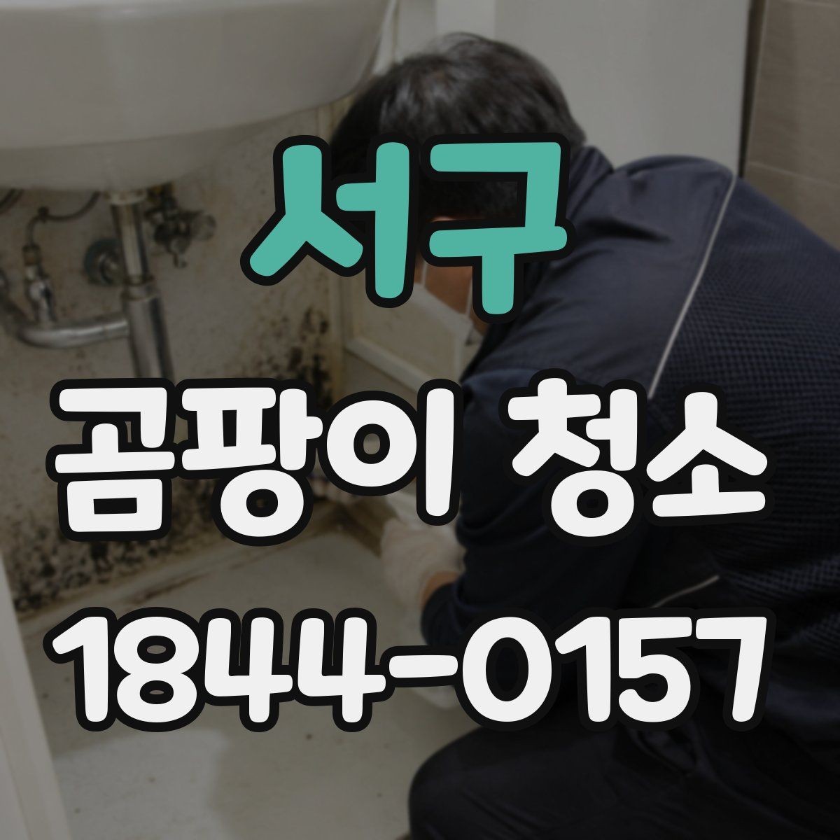 서구 곰팡이 청소 방법과 준비사항