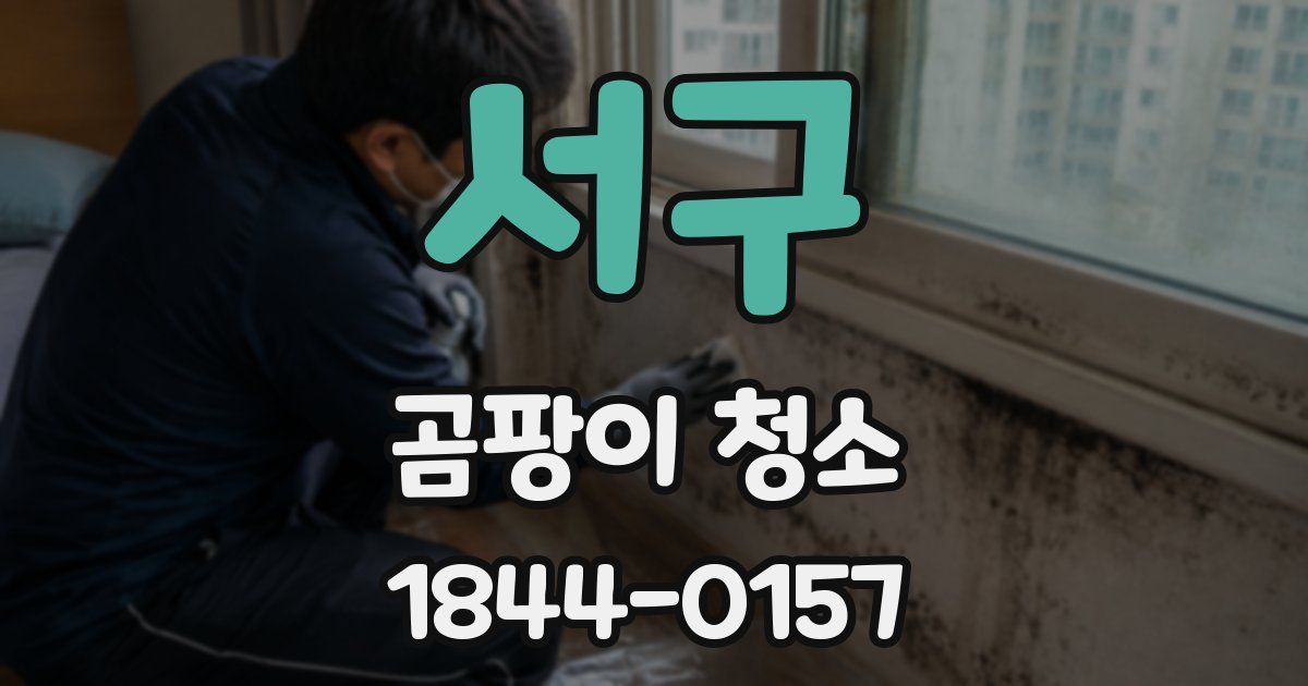 서구 곰팡이 청소