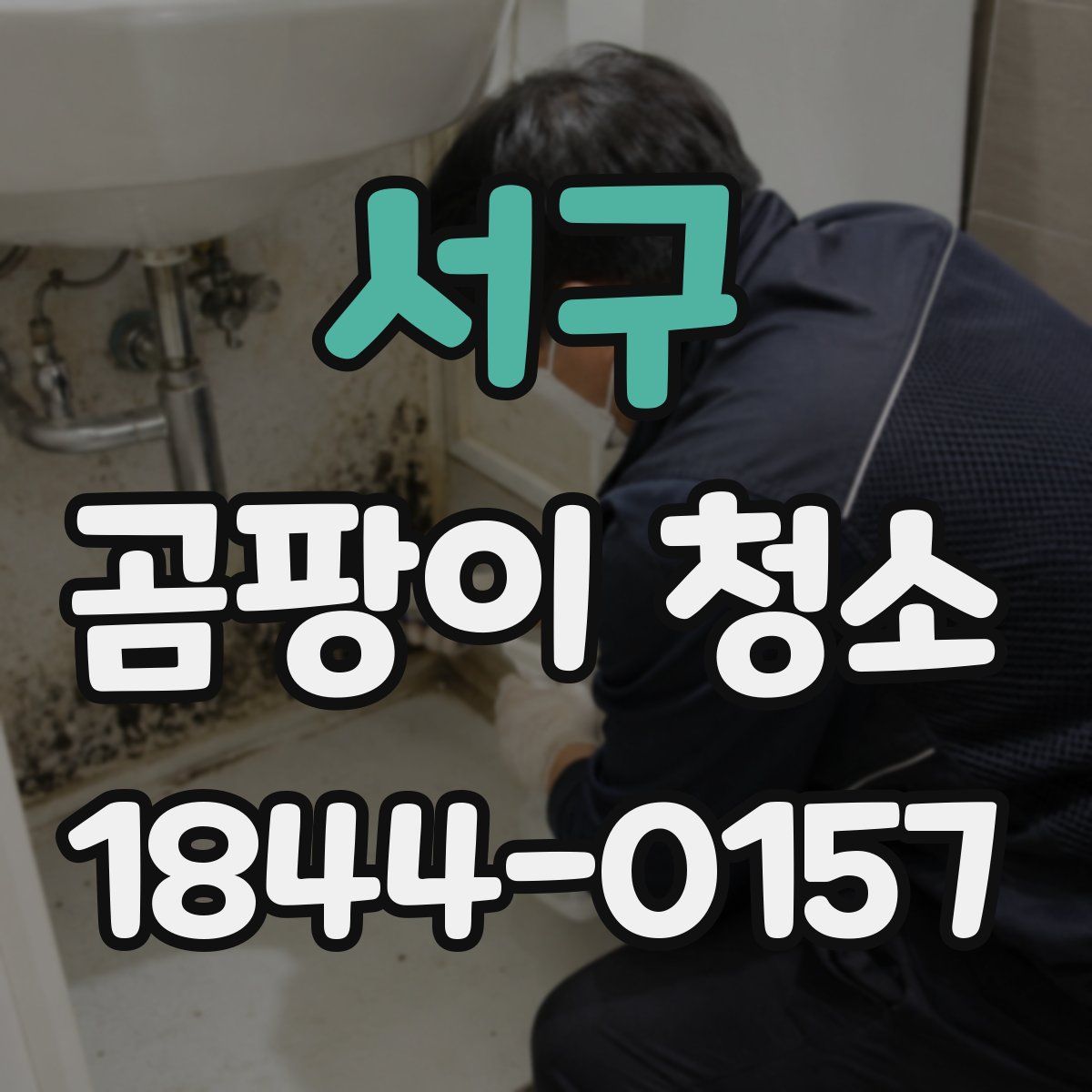 서구 곰팡이 청소
