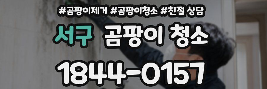 서구 곰팡이 청소
