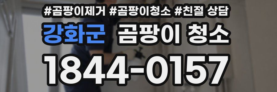강화군 곰팡이 청소