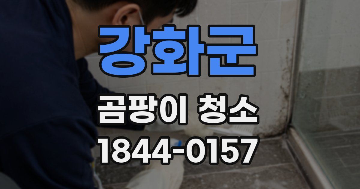 강화군 곰팡이 청소