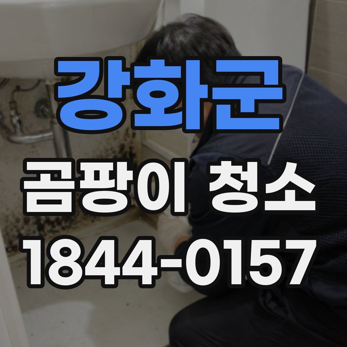 강화군 곰팡이 청소