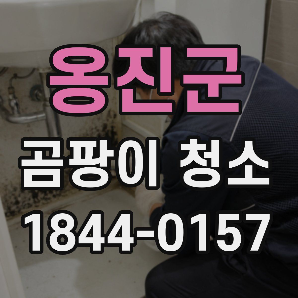 옹진군 곰팡이 청소