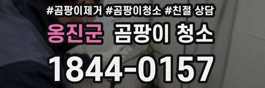옹진군 곰팡이 청소
