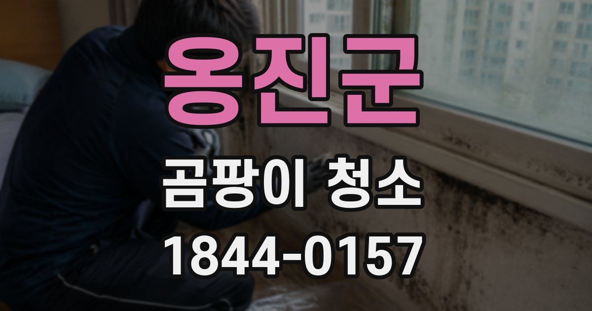 옹진군 곰팡이 청소