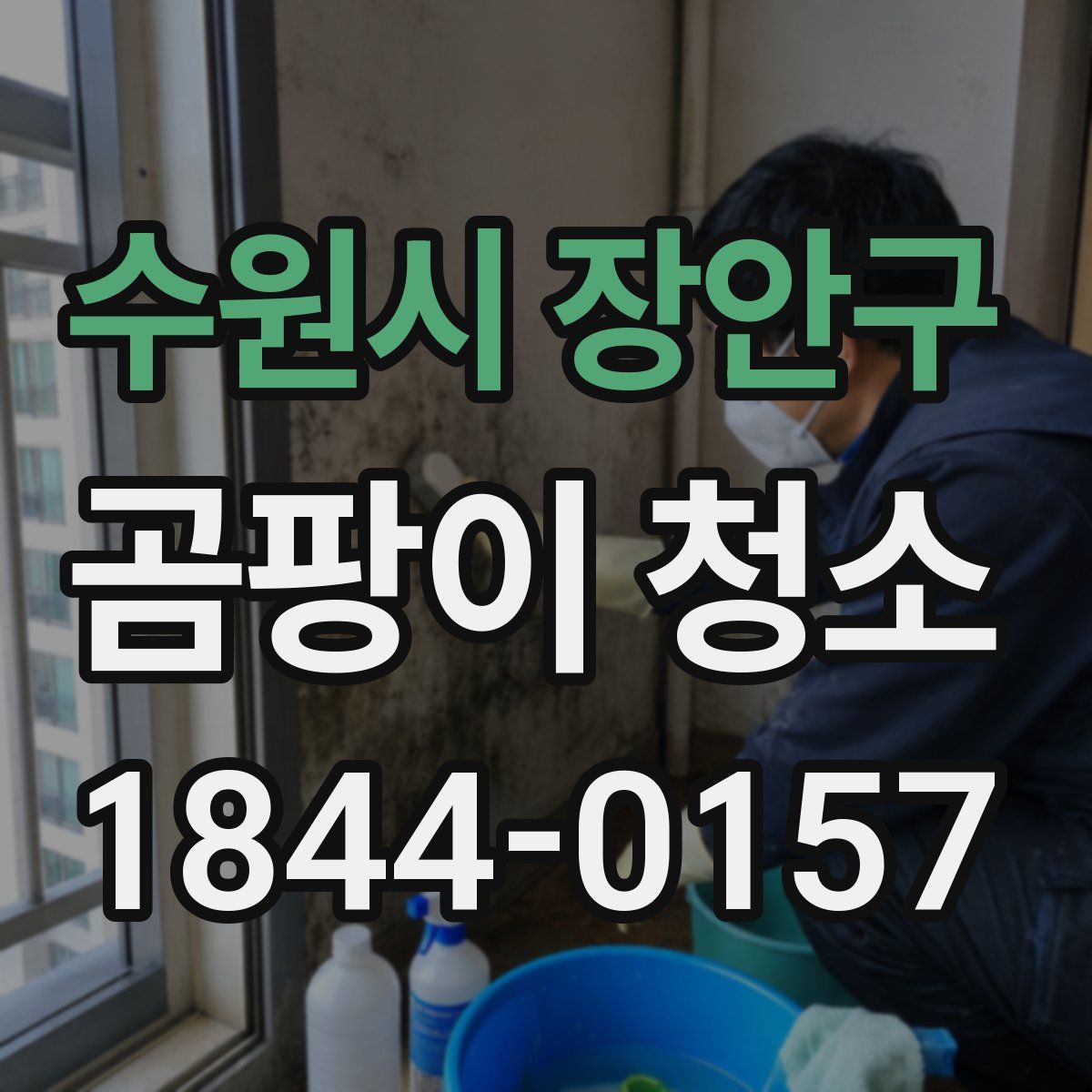 수원시 장안구 곰팡이 청소