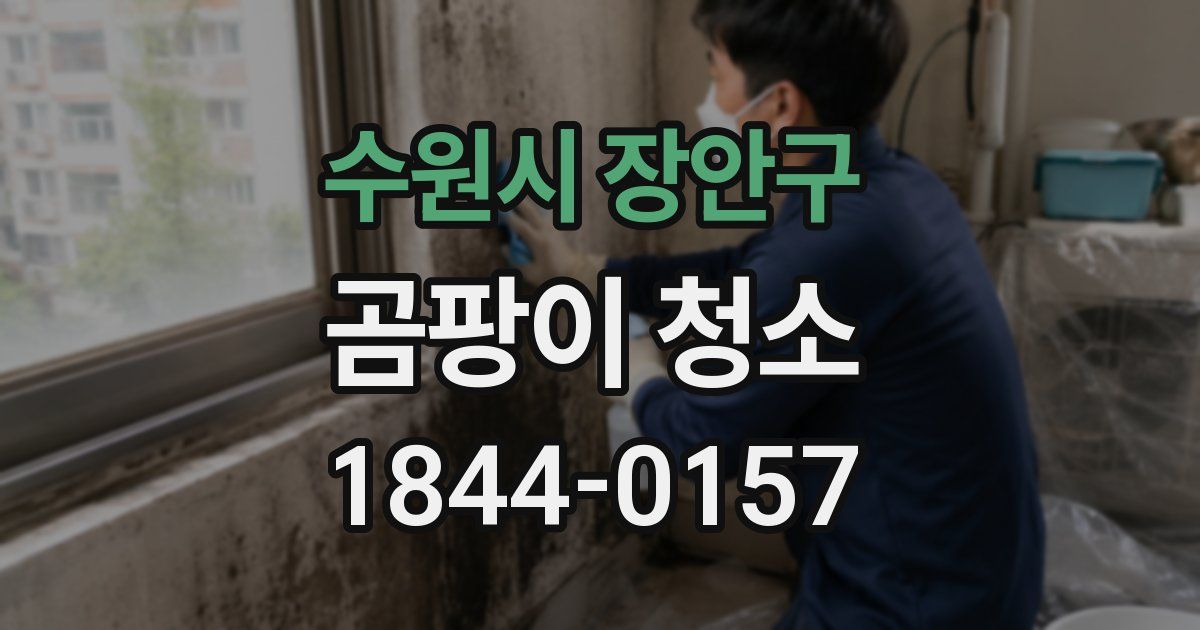 수원시 장안구 곰팡이 청소