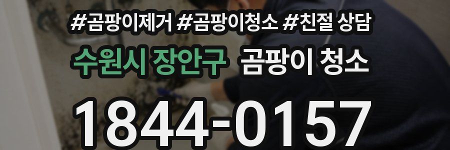 수원시 장안구 곰팡이 청소