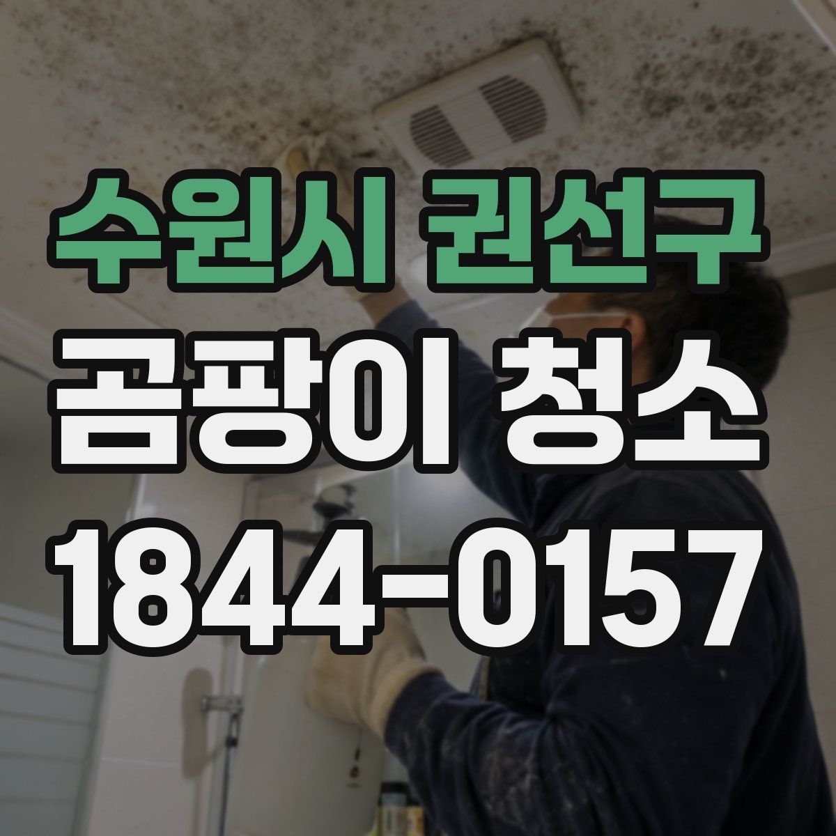 수원시 권선구 곰팡이 청소