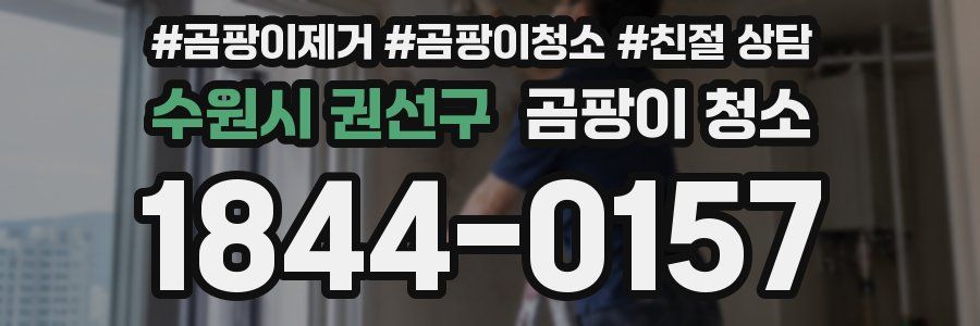 수원시 권선구 곰팡이 청소