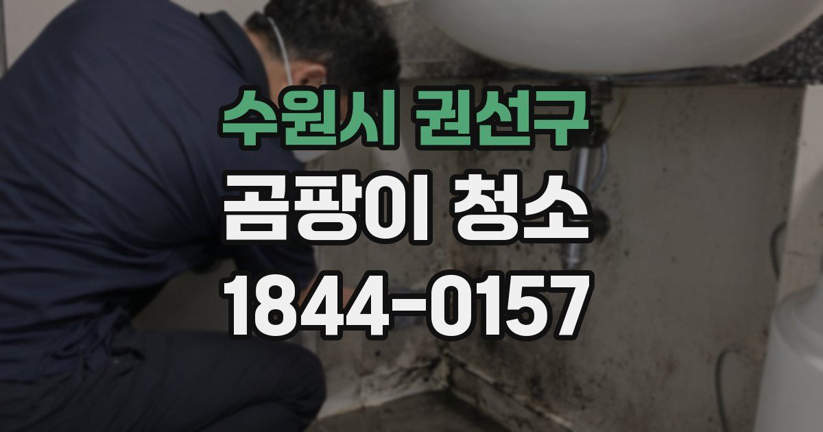 수원시 권선구 곰팡이 청소