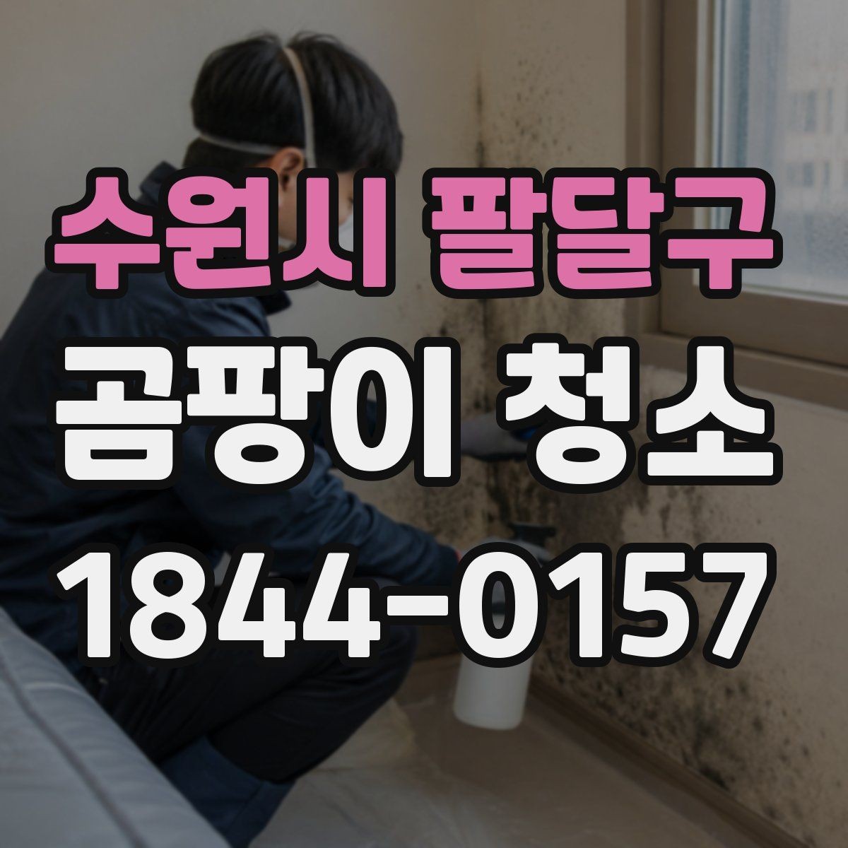 수원시 팔달구 곰팡이 청소 업체 상담 시 질문해야 할 내용