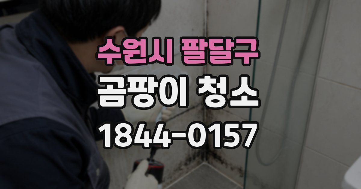 수원시 팔달구 곰팡이 청소