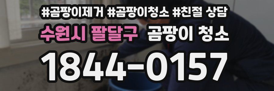 수원시 팔달구 곰팡이 청소