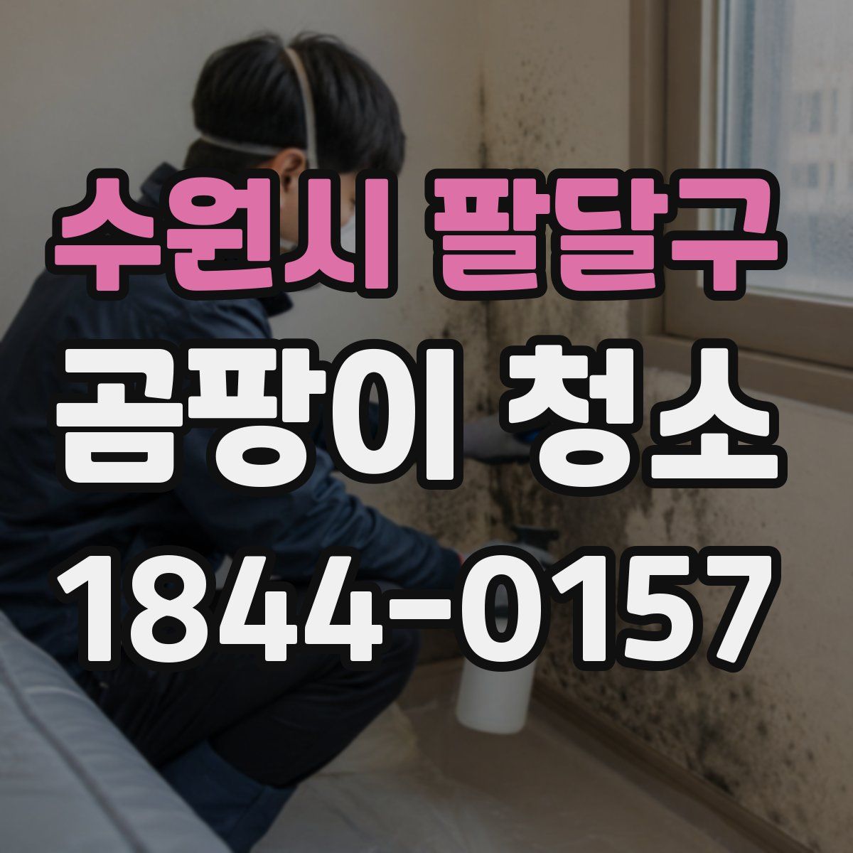 수원시 팔달구 곰팡이 청소