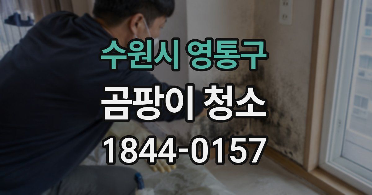 수원시 영통구 곰팡이 청소