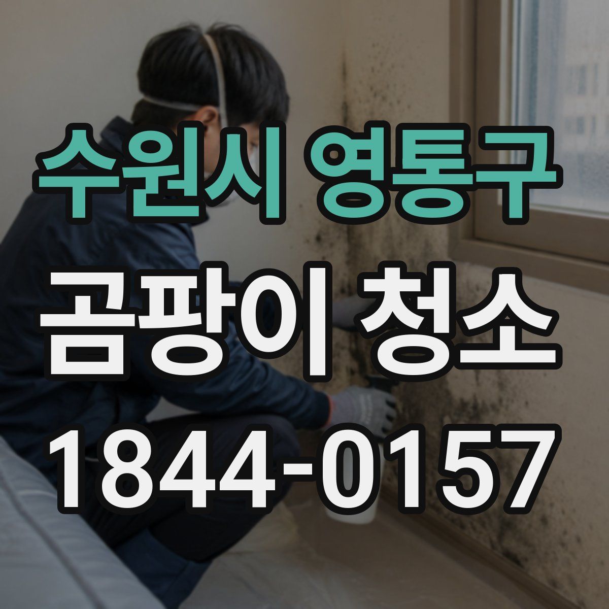 수원시 영통구 곰팡이 청소