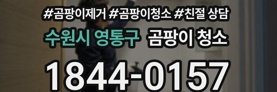 수원시 영통구 곰팡이 청소