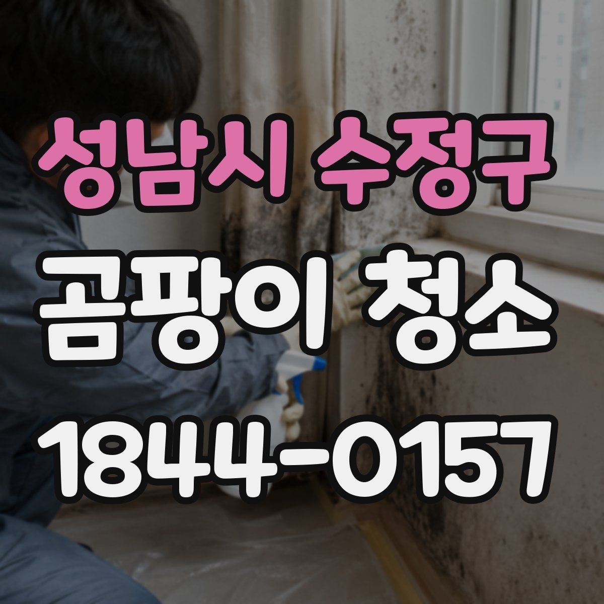 성남시 수정구 곰팡이 청소 전에 원인을 진단해야 하는 이유