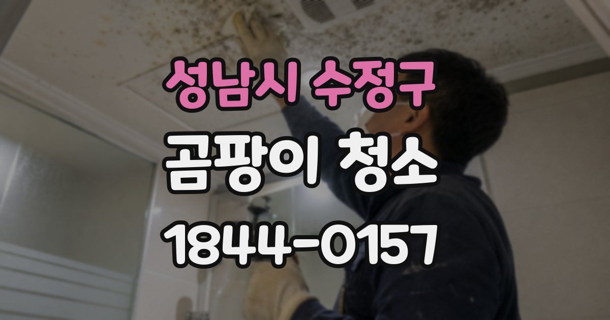 성남시 수정구 곰팡이 청소