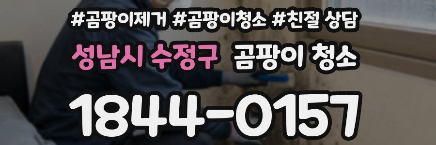 성남시 수정구 곰팡이 청소