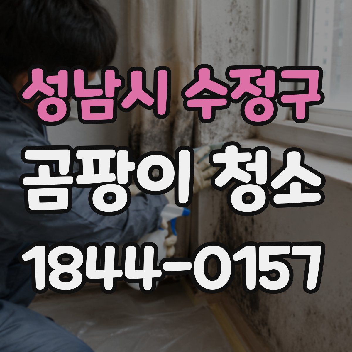 성남시 수정구 곰팡이 청소