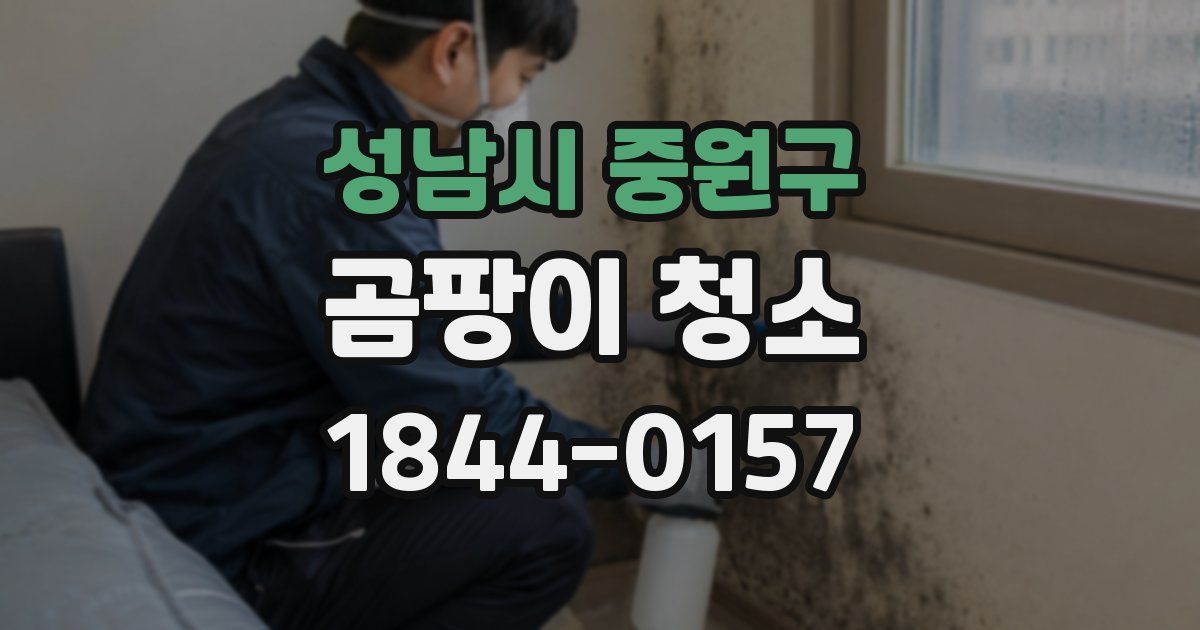 성남시 중원구 곰팡이 청소
