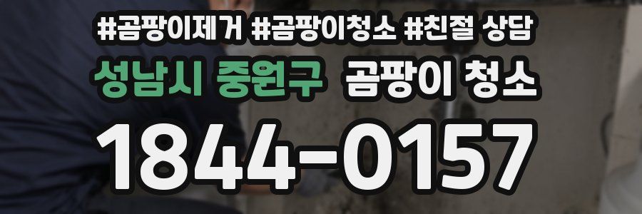 성남시 중원구 곰팡이 청소